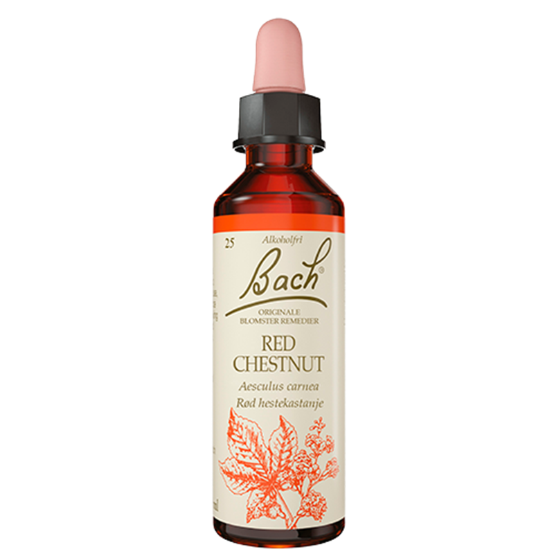 Dr. Bach Rød Hestekastanie Dråber (10 ml)