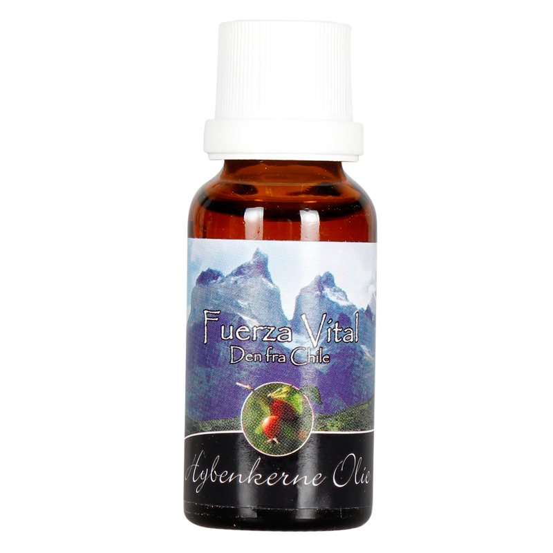 Fuerza Vital Hybenkerneolie neutral (20 ml)