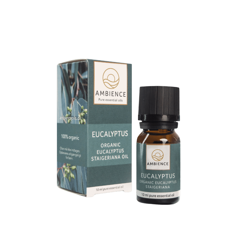 Ambience Æterisk Eukalyptus Olie Ø (10 ml)