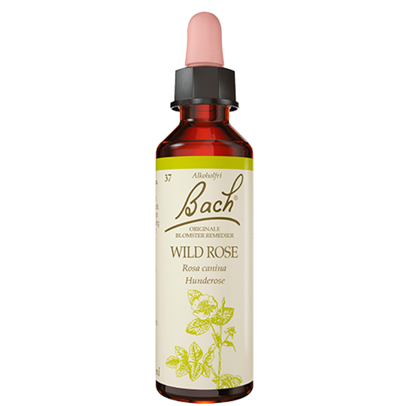 Dr. Bach Hunderose Dråber (10 ml)