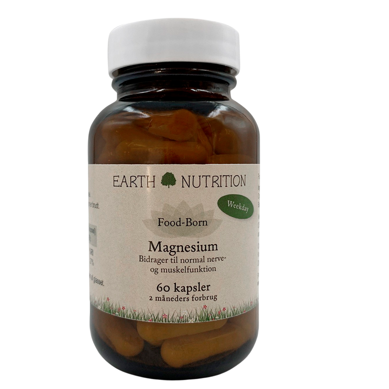 Earth Nutrition Magnesium 100 mg (60 kap)
