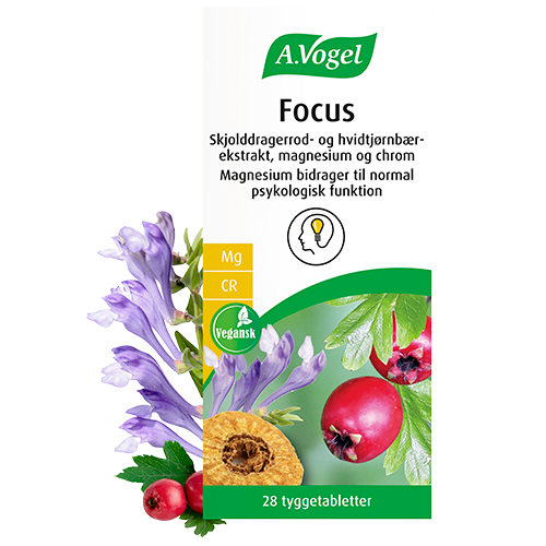 Tilbud A. Vogel Focus (28 tabl) køb billig