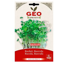 Rucolafrø til spiring Ø (30 g)