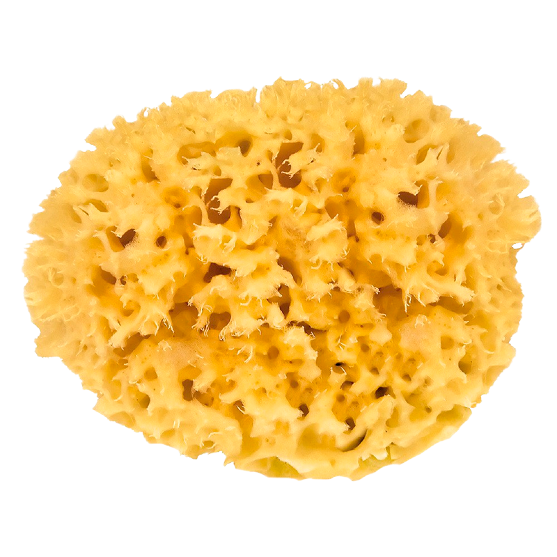 Croll & Denecke Natursvamp 11 cm - 1 Stk