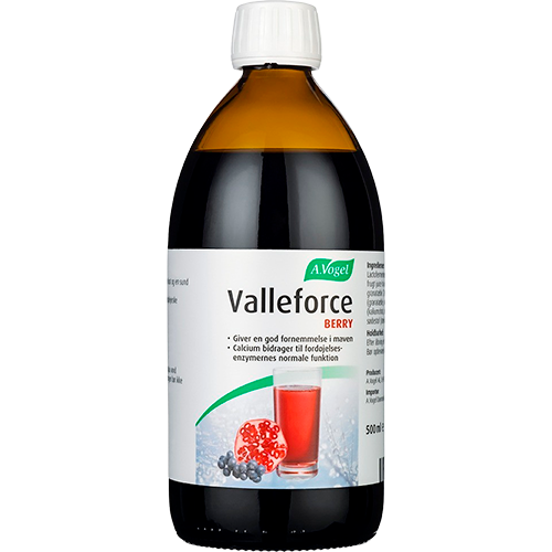 A. Vogel Valleforce Berry (500 ml)