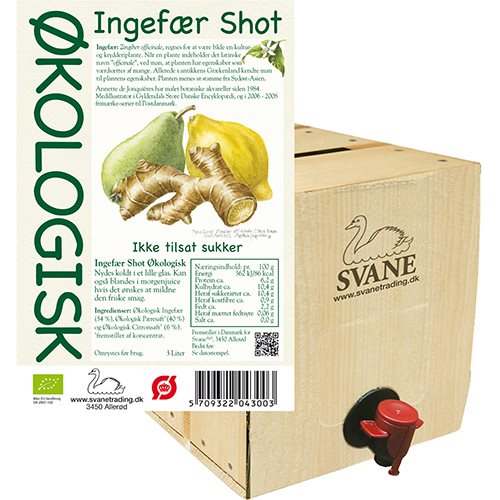 Svane Ingefær shot m pære & citron Ø BiB 3000 ml.