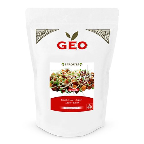 Linseblanding til spiring Ø (600 g)