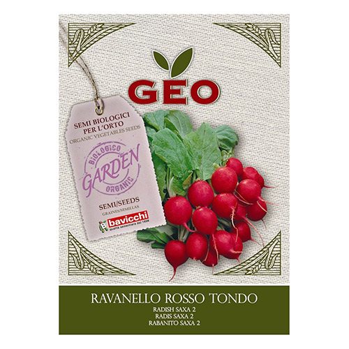 GEO Radisefrø "Saxa 2" Ø (4 g)