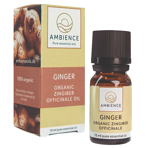 Ambience Ingefær Olie Ø (10 ml)