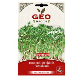 Biogan Broccolifrø til spiring Ø (13 gr)
