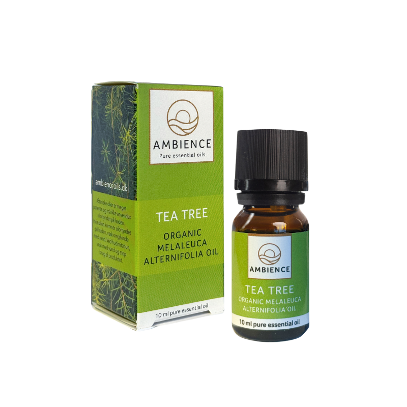 Ambience Æterisk Tea Tree Olie Ø (10 ml)