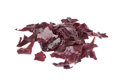 Søl (dulse) – hvorfor er det så sundt?